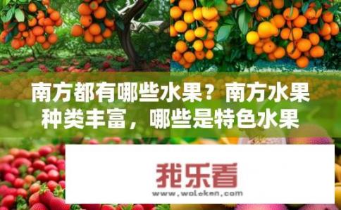 南方都有哪些水果？南方水果种类丰富，哪些是特色水果？