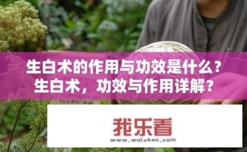 生白术的作用与功效是什么？生白术，功效与作用详解？