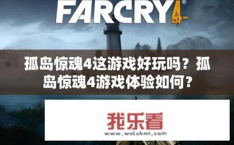 孤岛惊魂4这游戏好玩吗？孤岛惊魂4游戏体验如何？