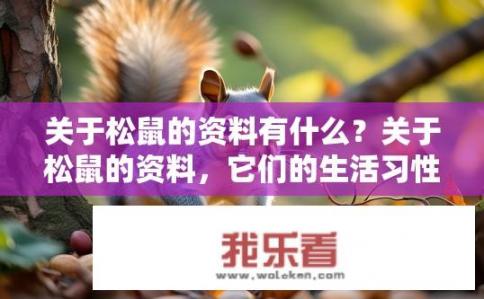 关于松鼠的资料有什么?关于松鼠的资料,它们的生活习性如何? 关于松鼠的资料有什么?关于松鼠的资料,它们的生活习性如何?