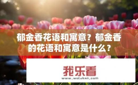 郁金香花语和寓意？郁金香的花语和寓意是什么？
