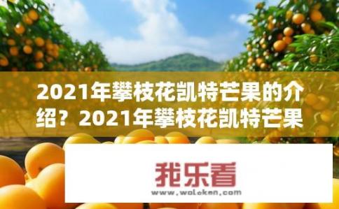 2021年攀枝花凯特芒果的介绍？2021年攀枝花凯特芒果的口感如何？