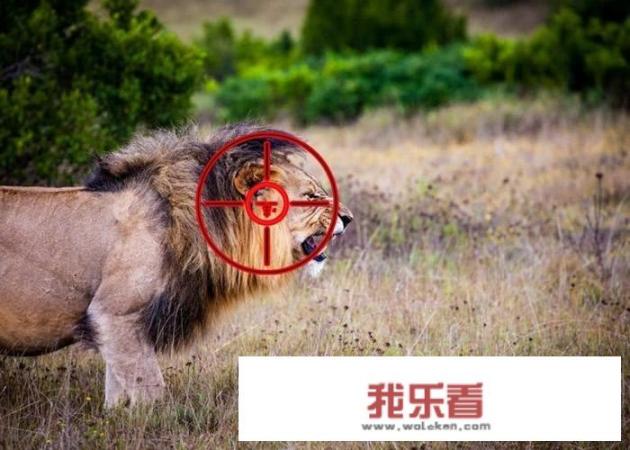 蜇人的小老虎有天敌吗？