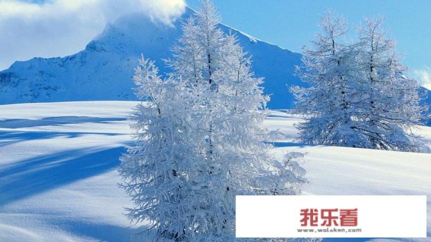 求求你表扬我结局解析？