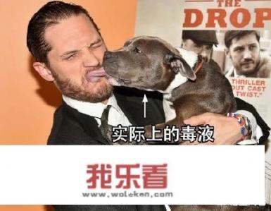 你会向别人推荐阿甘正传吗？