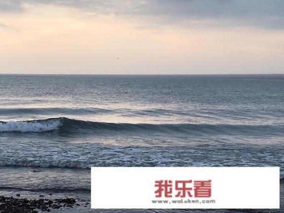 如何理解“艺术源于生活，却高于生活”？