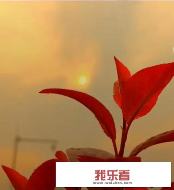 奥特曼谁还记得？