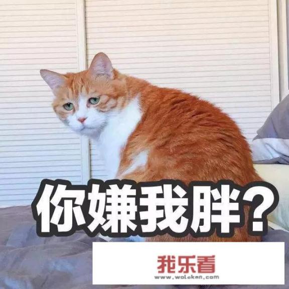 不吃米饭一个月减多少？