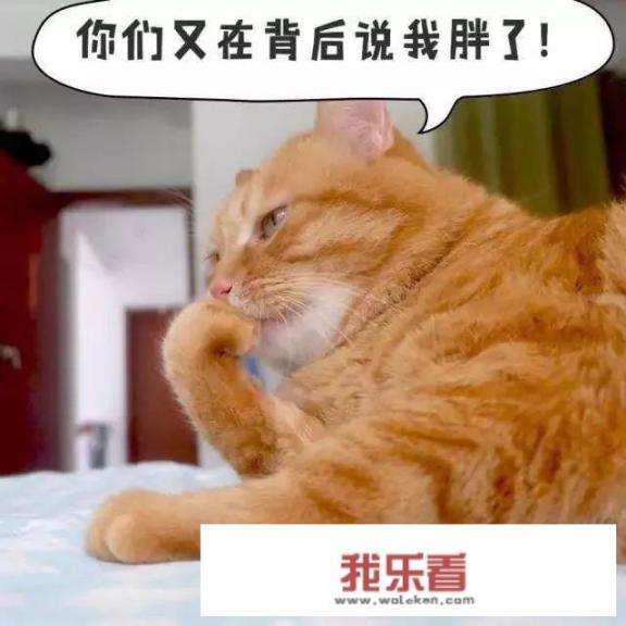 不吃米饭一个月减多少？
