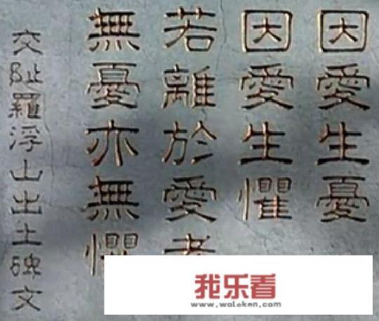 国外一个电影，一个女孩孤独生活，晚上出来杀坏人？
