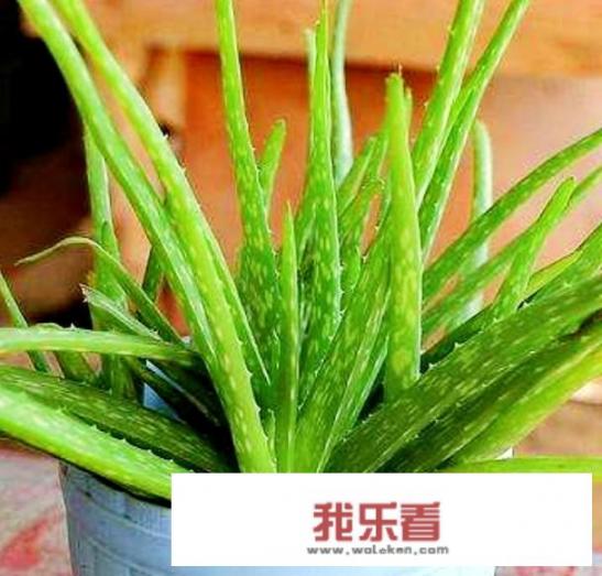 煮什么汤好喝？