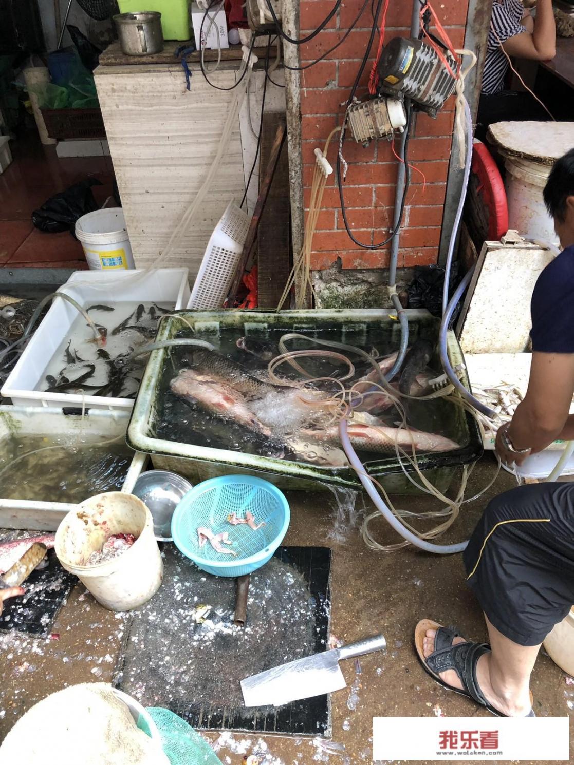 番薯粉做什么好吃？