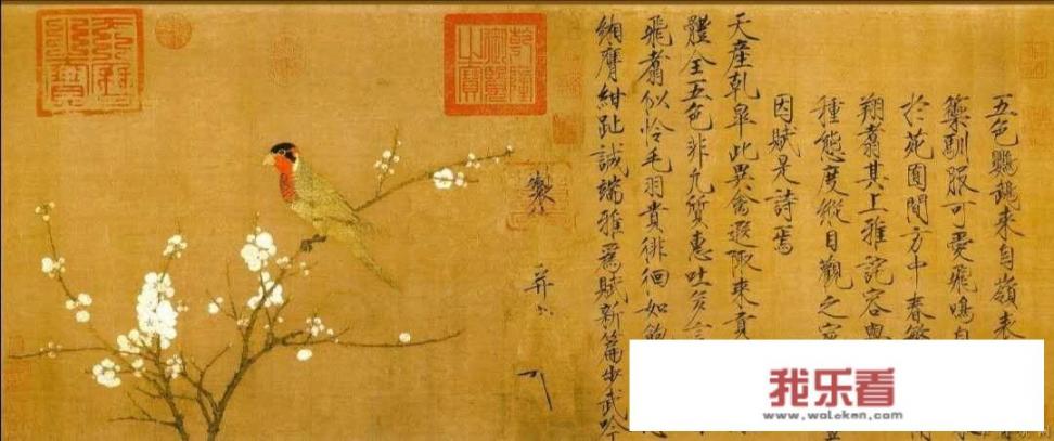 女人发野花是什么意思