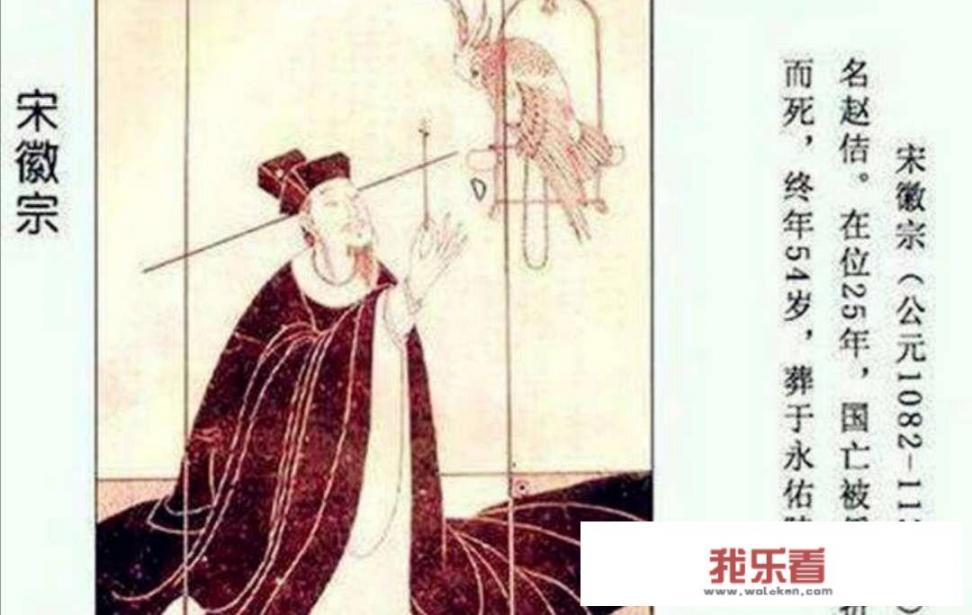 女人发野花是什么意思
