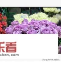 红玫瑰做头像,起什么呢称好？