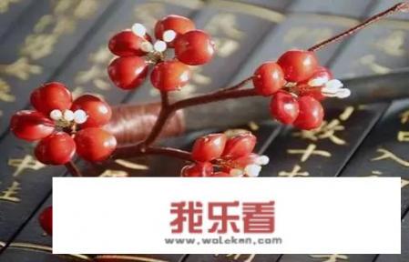 红豆有几种图片和介绍？
