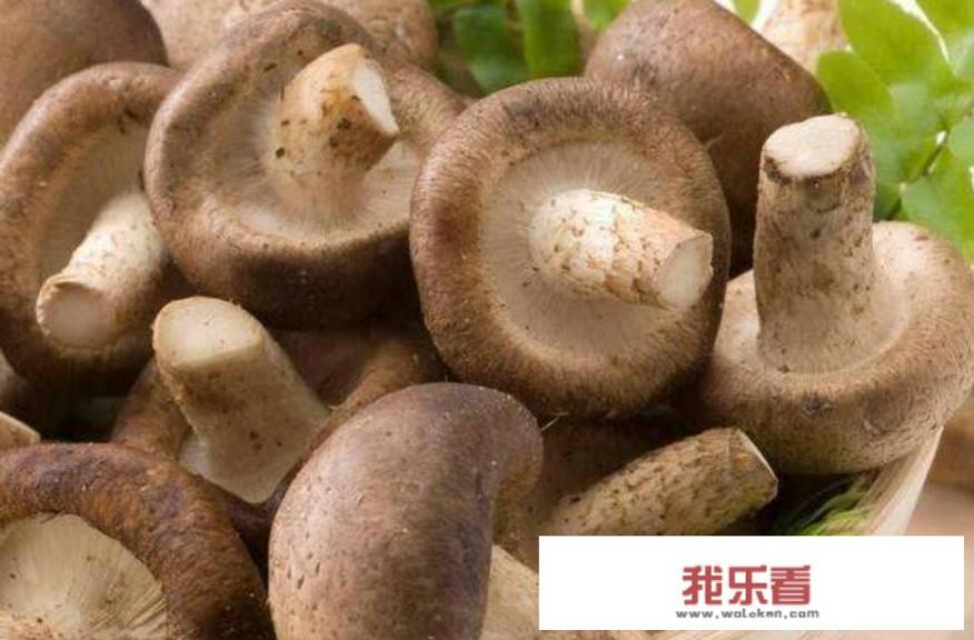 花菇和香菇的区别，告诉你四大不同？