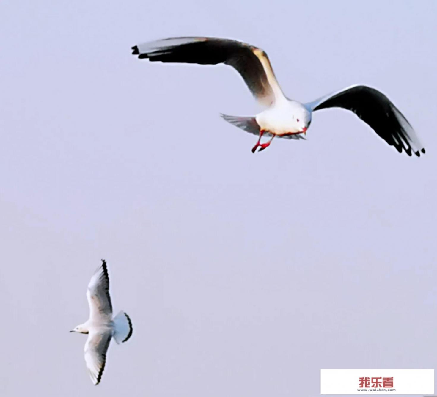 旅游图片配什么音乐？