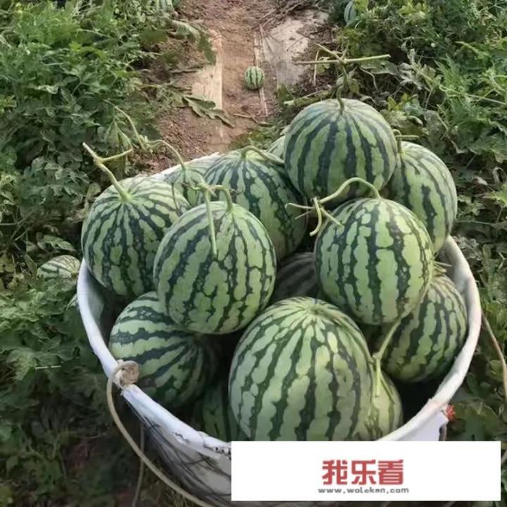 坚持每天吃水煮蛋一年后的效果？