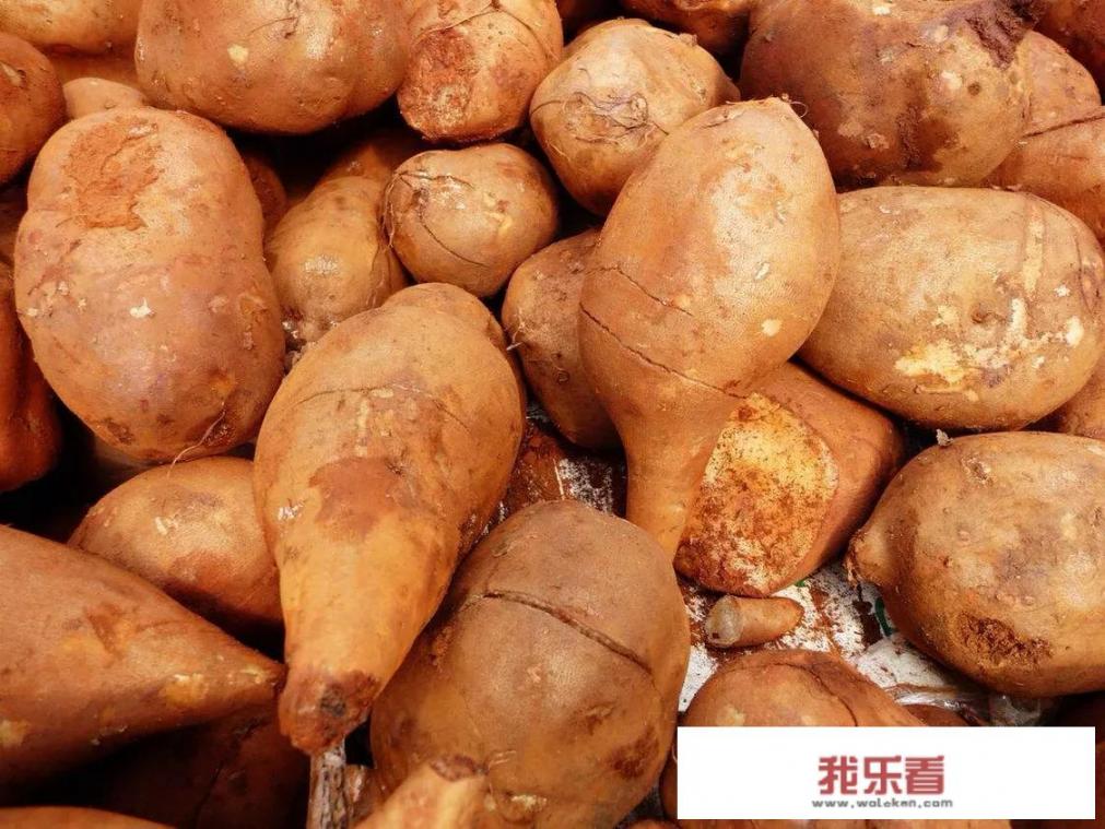 雪莲果有哪些功效呢？