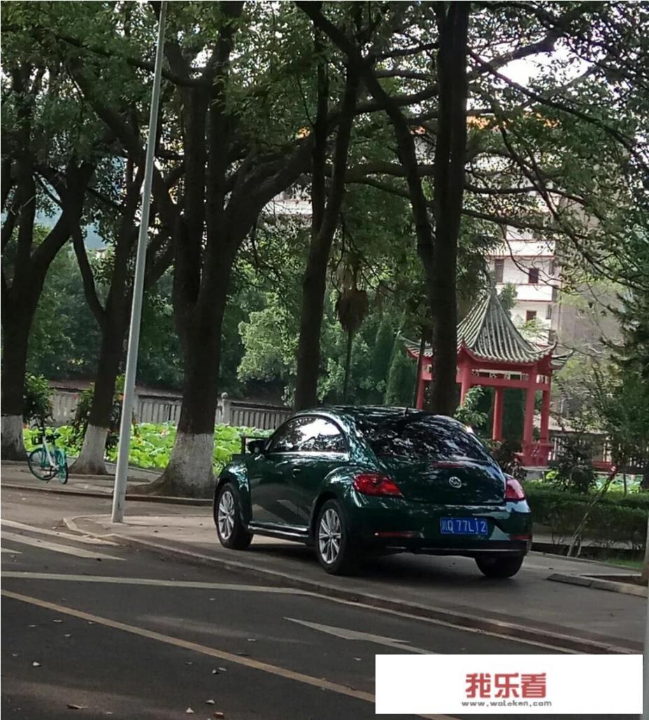 2022车险哪些必须买？