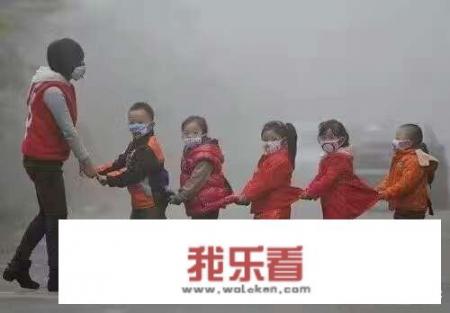 2022车险哪些必须买？