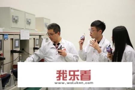华为的se什么意思？