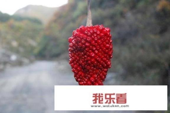 绵阳避暑有什么好的地方可以推荐呢？
