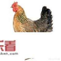 假鸡胸肉和真鸡胸肉怎样区别？