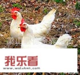 假鸡胸肉和真鸡胸肉怎样区别？