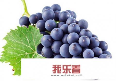 黑加仑子是不是葡萄？