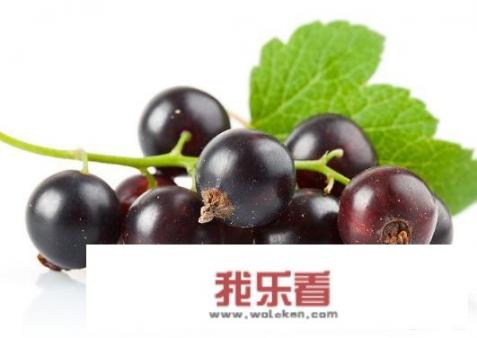 黑加仑子是不是葡萄？