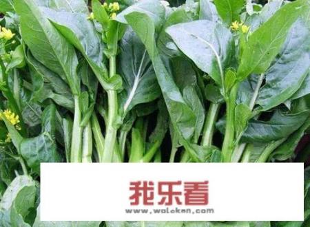 四九菜心连茬种植怎样获得高产，菜地杀菌需要用哪几种？