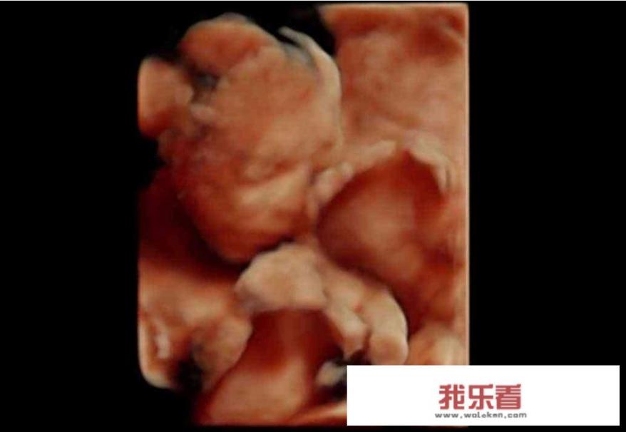 自己种的葡萄熟了怎么发朋友圈？