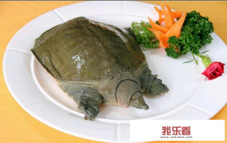 佛跳墙适合孕妇吃吗？孕妇不可以吃哪些食物？