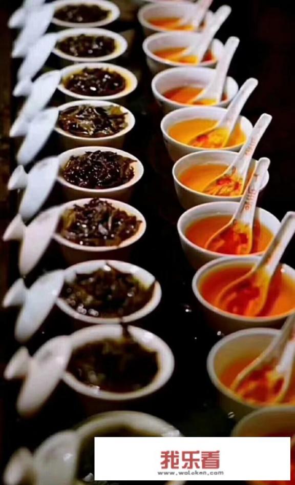 八马茶业几几年成立？