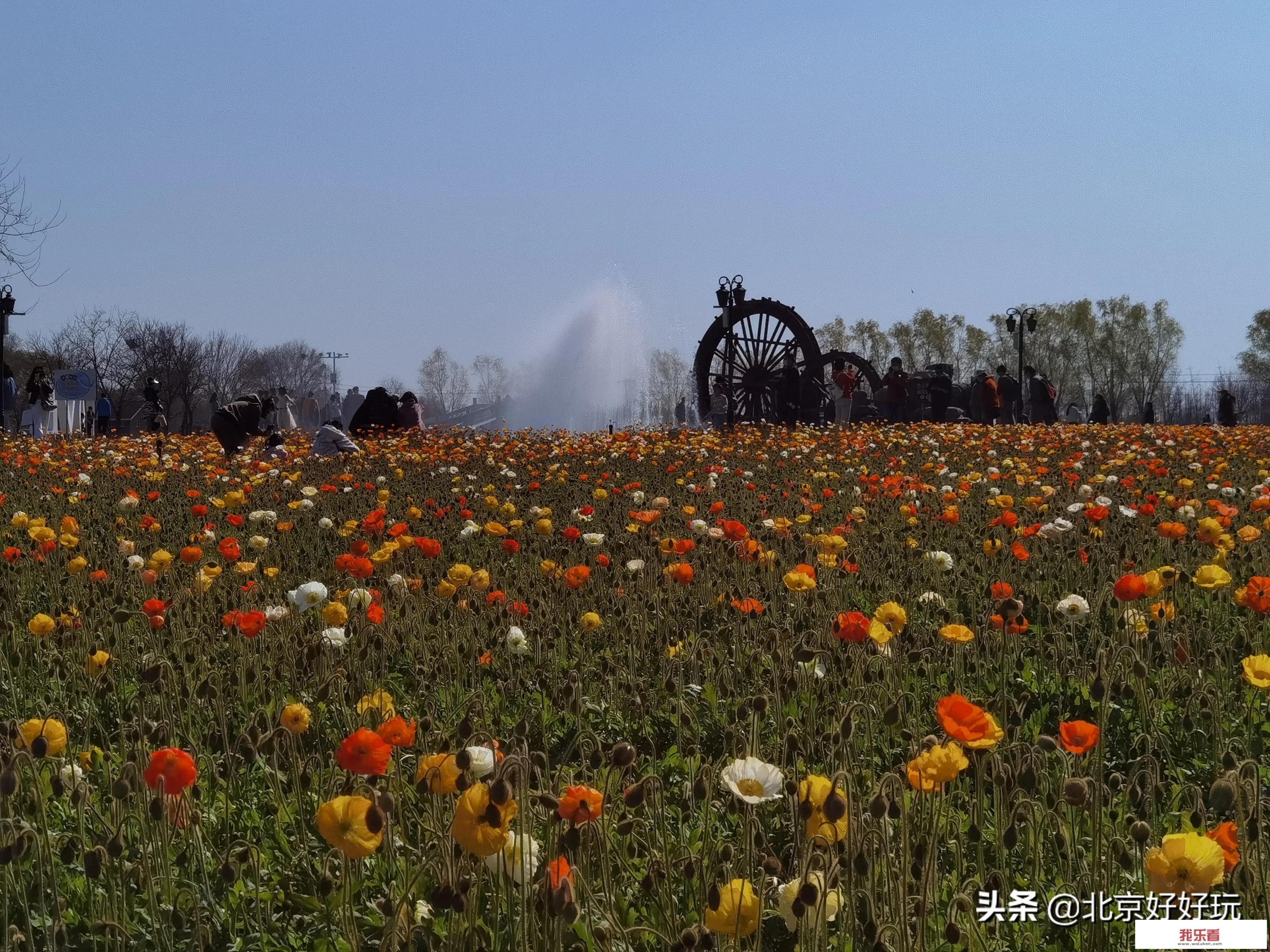你去过北京紫谷伊甸园农场吗？