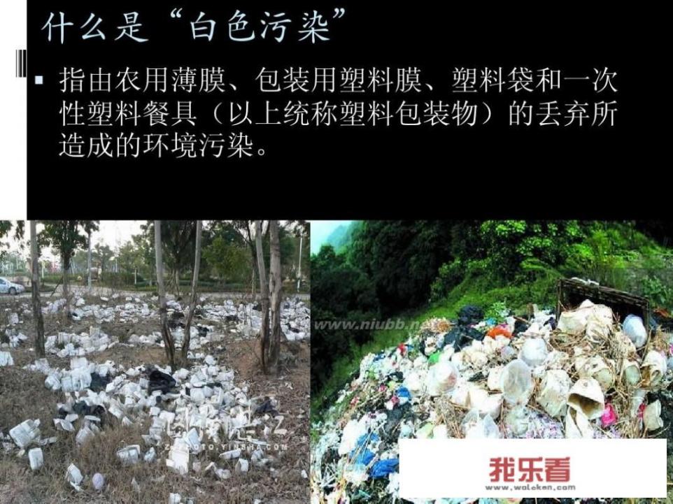 白色污染都包括什么？