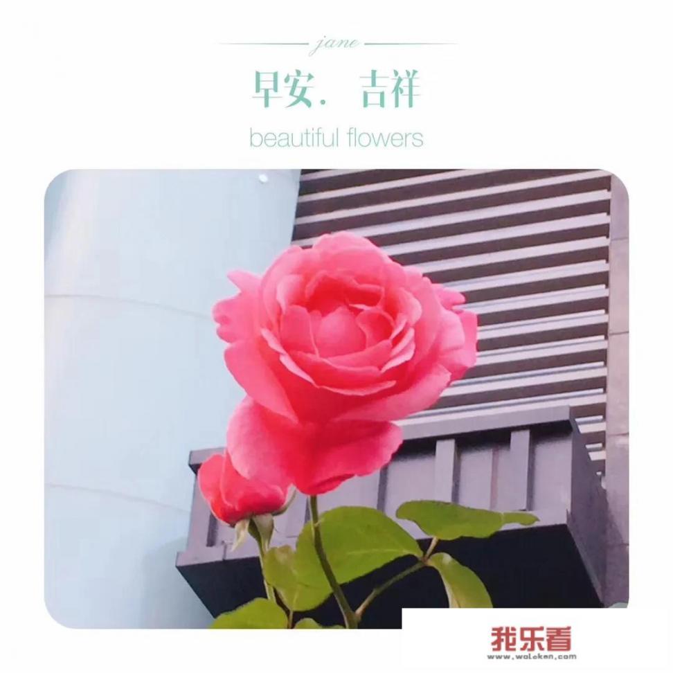 2023年春节会很热闹吗？