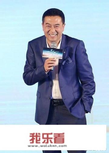 2021张嘉译的电视剧？