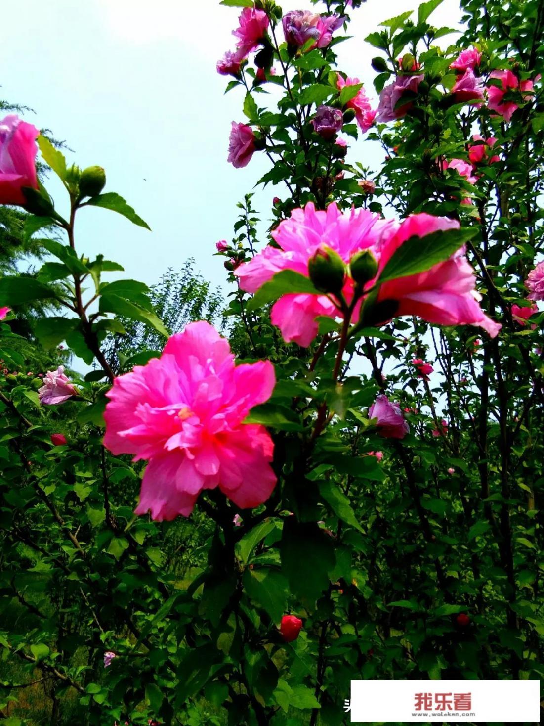 分享一下你手机中的春夏秋冬，要四个季节的照片啊？
