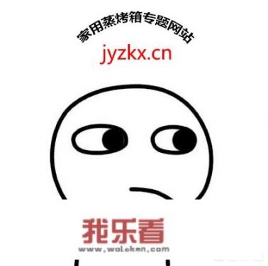 蒸烤箱哪个牌子好？
