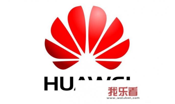华为集团成功体现哪些经济学原理？