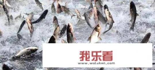 中国饮食文化的标志？