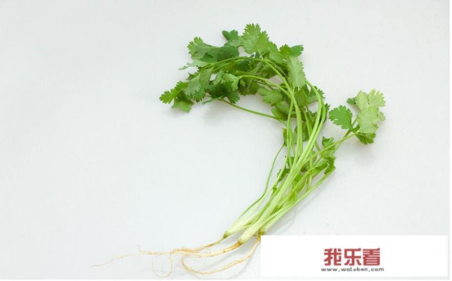 春季菜荒适合吃什么菜？