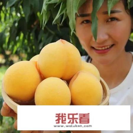 一对黄桃鹦鹉为什么会生出一只绿桃呢？