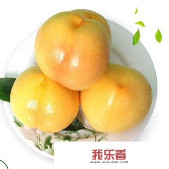 一对黄桃鹦鹉为什么会生出一只绿桃呢？