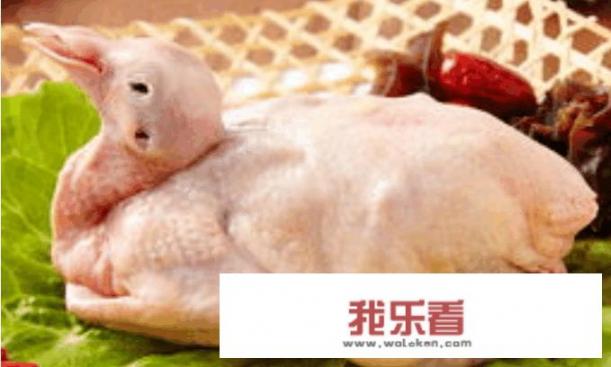 鸽子拿火锅料如何烹饪？