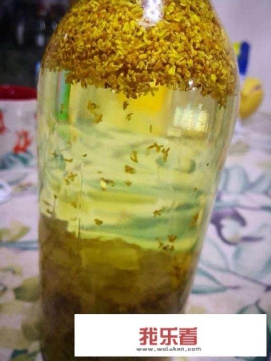 桂花怎么泡水喝？