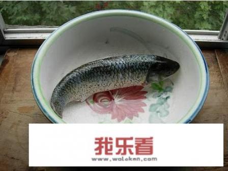 清蒸草鱼的正确做法？